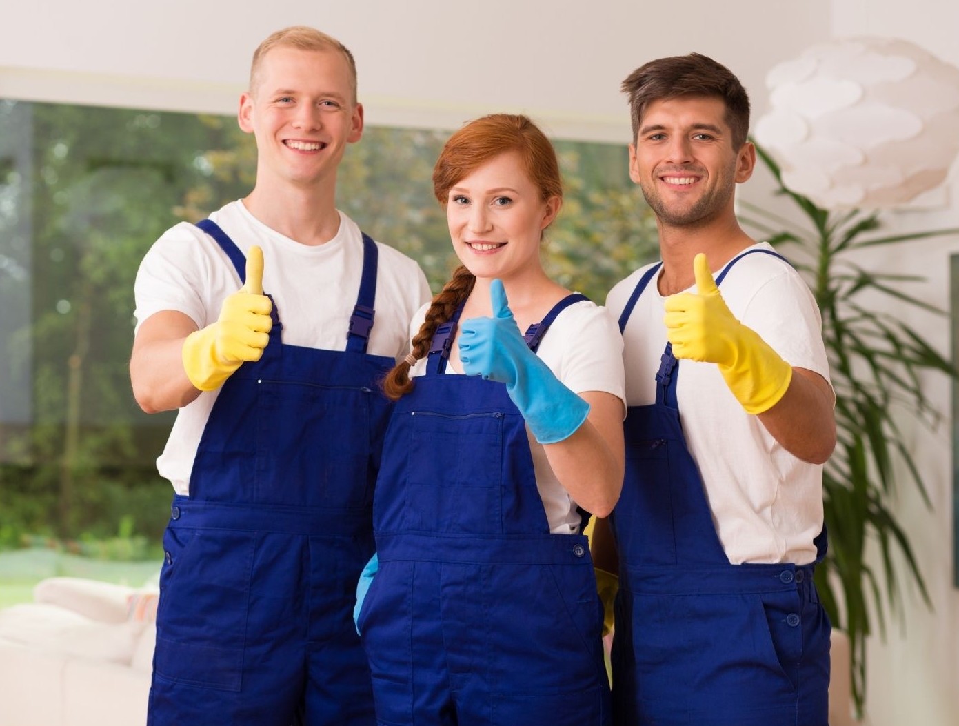 Get free quote ISR